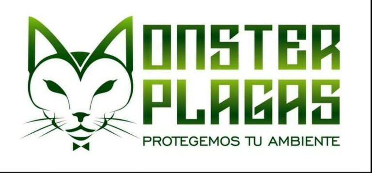 FB IMG 16872073886002 768x357